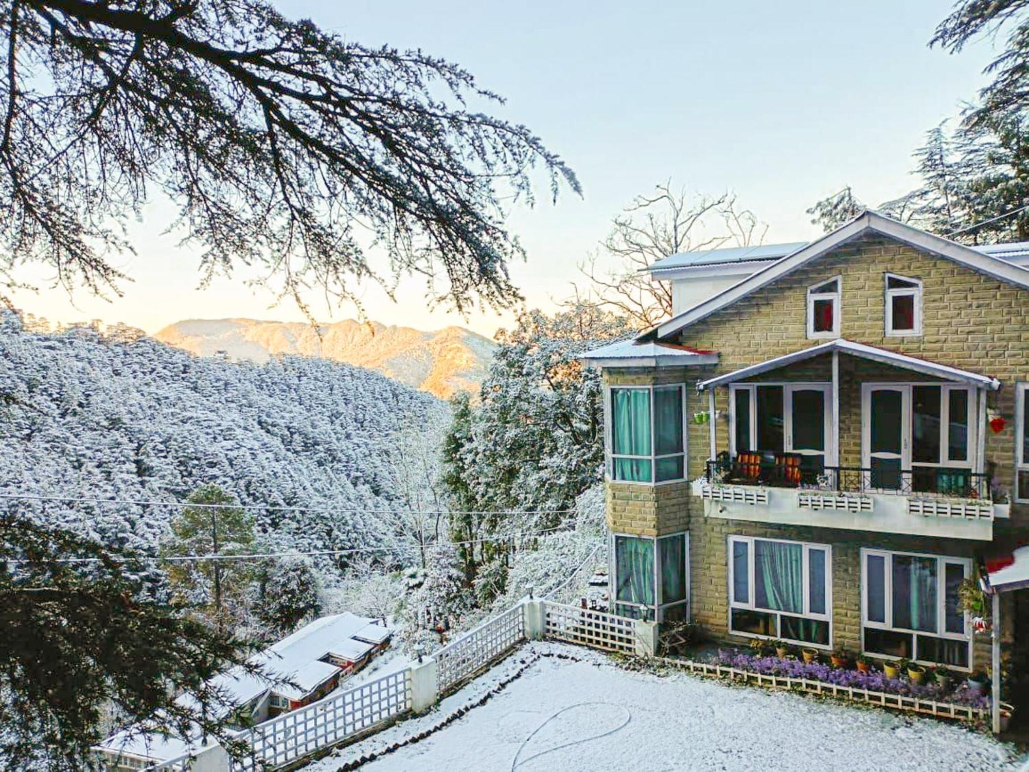 Whispering Pines Villa Shimla Eksteriør bilde